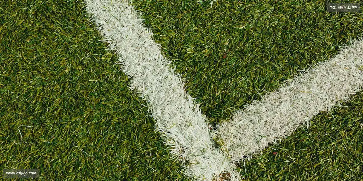 OD体育🌟踏上跑道,你就是自己的冠军,体育让热爱永不褪色!