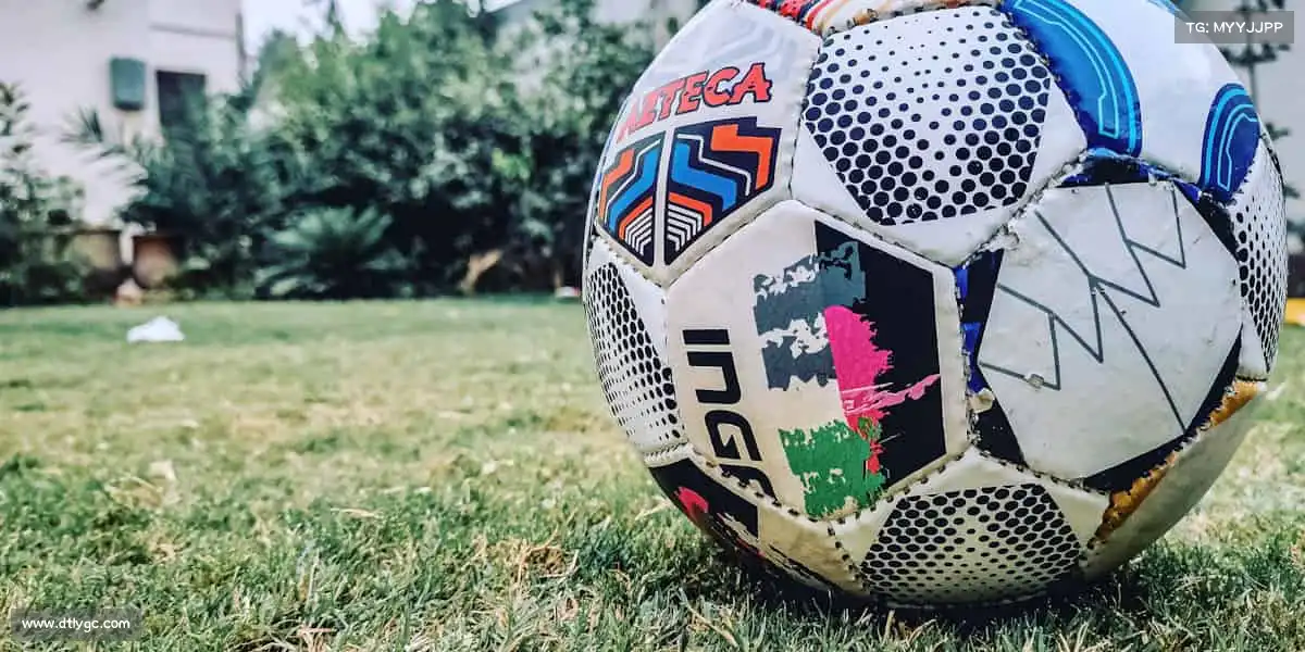 行业领先的理由