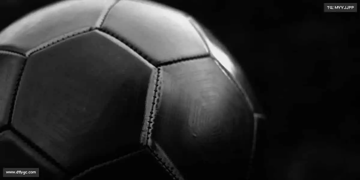 米兰体育🏆汗水铸就梦想,体育成就辉煌!